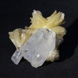 Baryte, Quartz<br />Colombia<br />54mm x 44mm x 26mm (Barite blades up to 19mm long)<br /> (Author: Bergur_E_Sigurdarson)