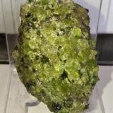 Olivino (Grupo)<br />Canet d´Adri, Comarca Gironès, Gerona / Girona, Cataluña / Catalunya, España<br />5x3,5 cm.<br /> (Autor: Adri Rodríguez)