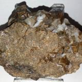 Granate (Grupo)<br />Mina Roca del Turó, Costabona, Espinavell (Espinabell), Molló, Comarca Ripollès, Gerona / Girona, Cataluña / Catalunya, España<br />7x5,5 cm.<br /> (Autor: Adri Rodríguez)