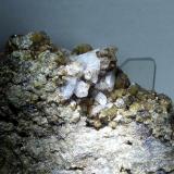 Granate (Grupo), Cuarzo<br />Mines de Can Montsant, Can Montsant (Massís del Montnegre), Hortsavinyà, Tordera, Comarca Maresme, Barcelona, Cataluña / Catalunya, España<br />5x5  cm. (Encuadre)<br /> (Autor: Adri Rodríguez)