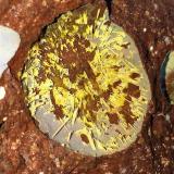 Nontronita (variedad nontronita cálcica)<br />Pedrera Can Súria (Pedrera Guixeres), Maçanet de la Selva, Comarca La Selva, Gerona / Girona, Cataluña / Catalunya, España<br />4x3 cm. (Encuadre)<br /> (Autor: Adri Rodríguez)