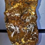 Celestina<br />Mina Molinera, La Granja d´Escarp, Municipio La Granja d´Escarp, Comarca Segrià, Lérida / Lleida, Cataluña / Catalunya, España<br />10x6 cm<br /> (Autor: Adri Rodríguez)
