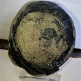 Pirita<br />Pedrera Turó de Montcada, Montcada i Reixac, Comarca Vallès Occidental, Barcelona, Cataluña / Catalunya, España<br />7,5x6 cm.<br /> (Autor: Adri Rodríguez)