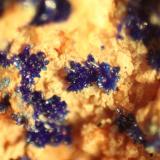 Azurite<br />Reformada Mine, El Pinar de Bédar, Bédar, Comarca Levante Almeriense, Almería, Andalusia, Spain<br />FOV 8 mm<br /> (Author: franjungle)