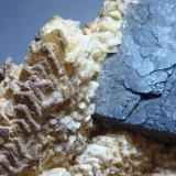 GalenaAizpea claim, Cerain mines, Zerain, Comarca Goyerri, Guipúzcoa / Gipuzkoa, Basque Country (Euskadi), Spain6 x 4 cm. (Autor: javier ruiz martin)