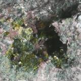 Clinozoisita, Pumpellita y Oligoclasa<br />Cantera Los Arenales, Monte La Rocha de Piquer, Torás, Comarca Alto Palancia, Castellón / Castelló, Comunidad Valenciana / Comunitat Valenciana, España<br />6x4cm aprox<br /> (Autor: ximocompany)
