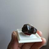 Almandino (Grupo Granate)Santa Marina Mine, Monte Galiñeiro, Vincios, Gondomar, Comarca Vigo, Pontevedra, Galicia / Galiza, Spain4x3 cm aprox (Autor: ximocompany)