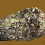 BaritaPedrera Coll de Nit 2 (Pedrera Frares), Riera d'Avencó, Vall d'Avencó, Aiguafreda, Comarca Vallès Oriental, Barcelona, Cataluña / Catalunya, España80x55 mm. (Autor: Jesus Franquesa Baucells)