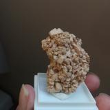 Microclina<br />Comarca La Selva, Massís del Montseny, Gerona / Girona, Cataluña / Catalunya, España<br />4,5x3 cm aprox<br /> (Autor: ximocompany)