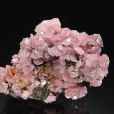 RhodochrositeMina Champion, Cinnamon Pass, Lake City, Condado Hinsdale, Colorado, USA3.0 x 4.8 cm. (Author: crosstimber)