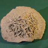 Gypsum<br />Gypsum outcrop, Baza, Comarca Baza, Granada, Andalusia, Spain<br />68mm x 59mm x 32mm<br /> (Author: franjungle)