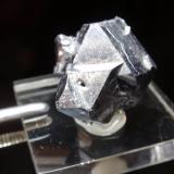 Galena<br />Zona minera Madan, Montes Rhodope, Smolyan Oblast, Bulgaria<br />20x20 mm<br /> (Autor: Ignacio)
