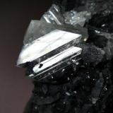 Anglesita en Galena<br />Pozo nº 5, Mina San Fernando, filón El Cobre, Matacabras-Dehesa de las Yeguas, Bailén, Comarca Sierra Morena, Jaén, Andalucía, España<br />Cristal de 2 cm.<br /> (Autor: Antonio P. López)