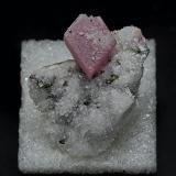 Rhodochrosite, Quartz, PyriteGrupo Mina Sunnyside (Mina American Tunnel), Pico Bonita, Gladstone, Distrito Eureka, Condado San Juan, Colorado, USA2.7 x 3.2 cm (Author: am mizunaka)