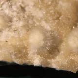 Okenite<br />Malad Quarry, Malad, Mumbai (Bombay), Mumbai District, Maharashtra, India<br />Detail<br /> (Author: franjungle)