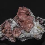 Fluorite<br />Grimsel area, Hasli Valley, Bern, Switzerland<br />5.2 x 3.9 cm<br /> (Author: am mizunaka)