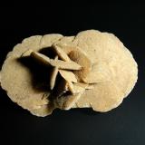 YesoChott el Djerid, Entre Tozeur y Douz, Gobernación de Kibili, Grand Erg Oriental, Túnez6 x 5 cm. (Autor: Antonio P. López)