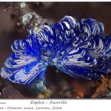 Azurite<br />Hilarion Mine, Hilarion area, Kamariza Mines, Agios Konstantinos, Lavrion Mining District, Attikí (Attica) Prefecture, Greece<br />fov 2.5 mm<br /> (Author: ploum)