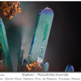 Azurite<br />Ojuela Mine, Mapimí, Municipio Mapimí, Durango, Mexico<br />fov 2.5 mm<br /> (Author: ploum)