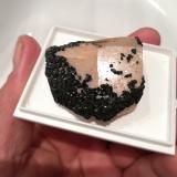 Chamosita<br />Cantera Cillarga, Linar da Raina, Ponteareas, Comarca El Condado, Pontevedra, Galicia / Galiza, España<br />4,5x4 cm aprox<br /> (Autor: ximocompany)