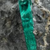 Beryl (variety emerald), Calcite<br />Coscuez mining district, Municipio San Pablo de Borbur, Western Emerald Belt, Boyacá Department, Colombia<br />27x25x16mm, xl=13x3mm<br /> (Author: Fiebre Verde)