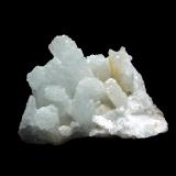CelestinaConcesión Minerama II, Urbanización Puente Tablas, Jaén ciudad, Jaén, Comarca Metropolitana de Jaén, Andalucía, España6 x 5 cm. (Autor: Antonio P. López)