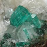 Beryl (variety emerald), Calcite, Quartz<br />Peñas Blancas Mine, Municipio San Pablo de Borbur, Western Emerald Belt, Boyacá Department, Colombia<br />40x44x41mm, xls up to 5mm<br /> (Author: Fiebre Verde)