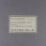 _Boulangerite, original label.<br />Glanzenberg Mine, Silberg, Kirchhundem, Olpe, Sauerland, North Rhine-Westphalia/Nordrhein-Westfalen, Germany<br />7,7 x 5,6 x 3 cm.<br /> (Author: J. G. Alcolea)
