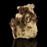 Baryte, Calcite<br />Admiralty Quarry, Isle of Portland, Portland, Weymouth and Portland District, Dorset, South West Region, England / United Kingdom<br />5 x 3,5 x 2 cm<br /> (Author: Niels Brouwer)