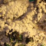 Malachite and Aragonite<br />Reformada Mine, El Pinar de Bédar, Bédar, Comarca Levante Almeriense, Almería, Andalusia, Spain<br />FOV 12 mm<br /> (Author: franjungle)