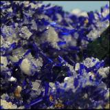 Azurite, Calcite, Malachite<br />Tsumeb Mine, Tsumeb, Otjikoto Region, Namibia<br />28 x 18 x 12mm<br /> (Author: Pierre Joubert)