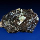 Augelita<br />Zona Rapid Creek, distrito minero Dawson, Territorio Yukon, Canadá<br />6 x 5 cm.<br /> (Autor: Antonio P. López)