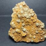 Fluorita<br />Afloramientos de Singuerlín, Puig Castellar (Serra de Marina), Singuerlín, Santa Coloma de Gramenet, Comarca Barcelonès, Barcelona, Cataluña / Catalunya, España<br />6,5 x 6 cm<br /> (Autor: Iwok)