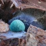 Chrysocolla with Quartz<br />Mount Kahovan, Moalleman, Qohab-e Rastaq, Amirabad District, Damghan, Torud Region, Semnan Province, Iran<br />1 cm<br /> (Author: Arash Ghafari)