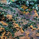 Libethenita<br />Mina Mex-Tex, Bingham, Distrito Hansonburg, Condado Socorro, New Mexico, USA<br />Campo de visión 4,5 cm.<br /> (Autor: Antonio P. López)