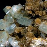 Fluorapatito<br />Minas da Panasqueira, Aldeia de São Francisco de Assis, Covilhã, Castelo Branco, Cova da Beira, Centro, Portugal<br />Cristales de 1 cm.<br /> (Autor: Antonio P. López)