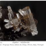 Willemite<br />Preguiça Mine, Sobral da Adiça, Moura, Beja District, Baixo Alentejo, Alentejo, Portugal<br />fov 1.7 mm<br /> (Author: ploum)