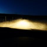 On my way home on a remote farm road. (Author: Pierre Joubert)