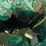 Dioptase<br />Tsumeb Mine, Tsumeb, Otjikoto Region, Namibia<br />53mm x 25mm x 40mm<br /> (Author: Heimo Hellwig)