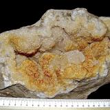 Calcite on Dolomite<br />Washington County, Indiana, USA<br />Oval geode is 20  cm. Calcites are up to 2 cm<br /> (Author: Bob Harman)