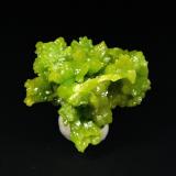 Piromorfita<br />Mina San Andrés, Espiel, Comarca Valle del Guadiato, Córdoba, Andalucía, España<br />3 x 3 cm.<br /> (Autor: Antonio P. López)