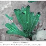 Dioptase<br />Christmas Mine, Christmas, Banner District, Dripping Spring Mountains, Gila County, Arizona, USA<br />fov 2.2 mm<br /> (Author: ploum)