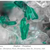 DioptaseMina Christmas, Christmas, Distrito Banner, Montes Dripping Spring, Condado Gila, Arizona, USAfov 2.2 mm (Author: ploum)