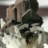 Hübnerita sobre Cuarzo<br />Pasto Bueno, Distrito Pampas, Provincia Pallasca, Departamento Ancash, Perú<br />4cm x 4cm x 4cm<br /> (Autor: srm13151)
