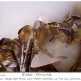 FornaciteMina Eagle Eye, Grupo Moore Mine, Distrito New Water, Montes New Water, Condado La Paz, Arizona, USAfov 0.75 mm (Author: ploum)