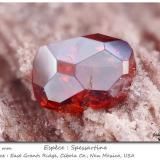 SpessartineSierra East Grants, Condado Cibola, New Mexico, USAfov 3.4 mm (Author: ploum)