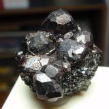 Almandino (Grupo Granate)Garnet Ledge, Wrangell, Wrangell Island, Wrangell-Petersburg Borough, Alaska, USA30x30 mm (Autor: Ignacio)