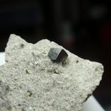 Anatasa<br />Distrito Kharan, Balochistan (Baluchistan), Paquistán<br />30x15 mm<br /> (Autor: Ignacio)