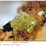 Mimetite<br />Mas Dieu, Mercoirol, Alès, Gard, Occitanie, France<br />fov 3.4 mm<br /> (Author: ploum)