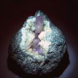 Cuarzo (variedad amatista)<br />Osilo, Provincia Sassari, Cerdeña/Sardegna, Italia<br />70x55 mm.<br /> (Autor: Jesus Franquesa Baucells)